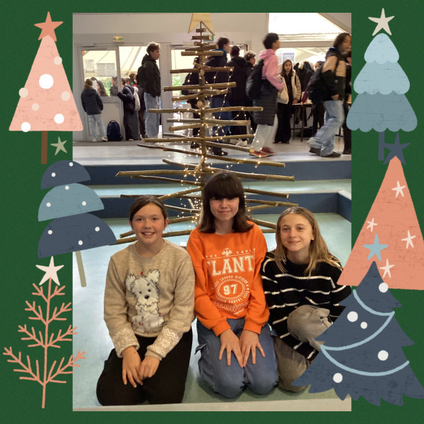 Les �co-d�l�gu�s fabriquent un sapin