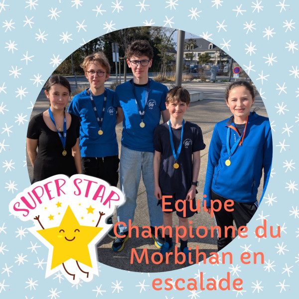 UNSS : Champion.ne.s du Morbihan en escalade !