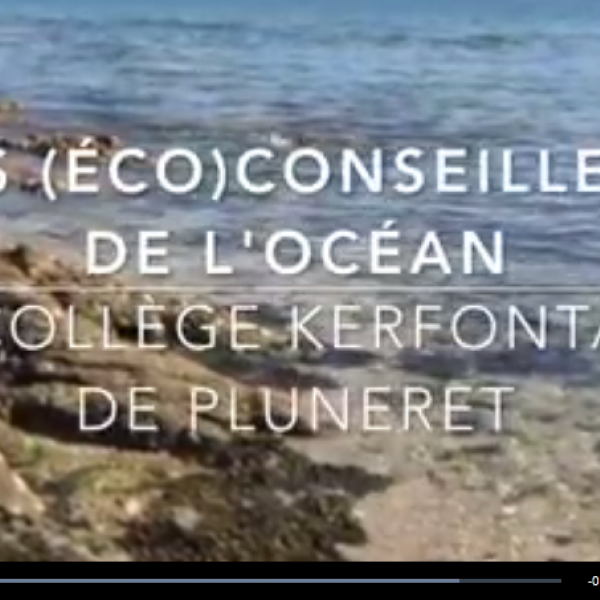 Les 503 : Eco-Délégués de l'Océan !