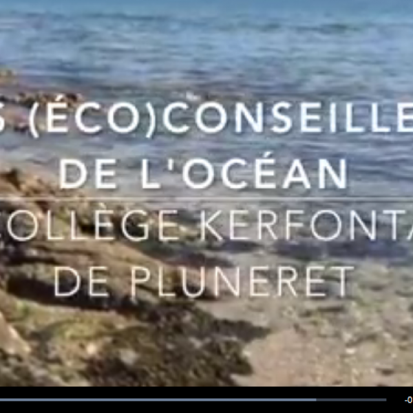 Les 503 : Eco-Dlgus de l'Ocan !