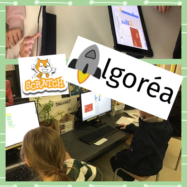 Concours Castor et Algor�a au coll�ge