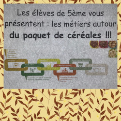 Parcours Avenir en 5me : les mtiers autour d'une bote de crales